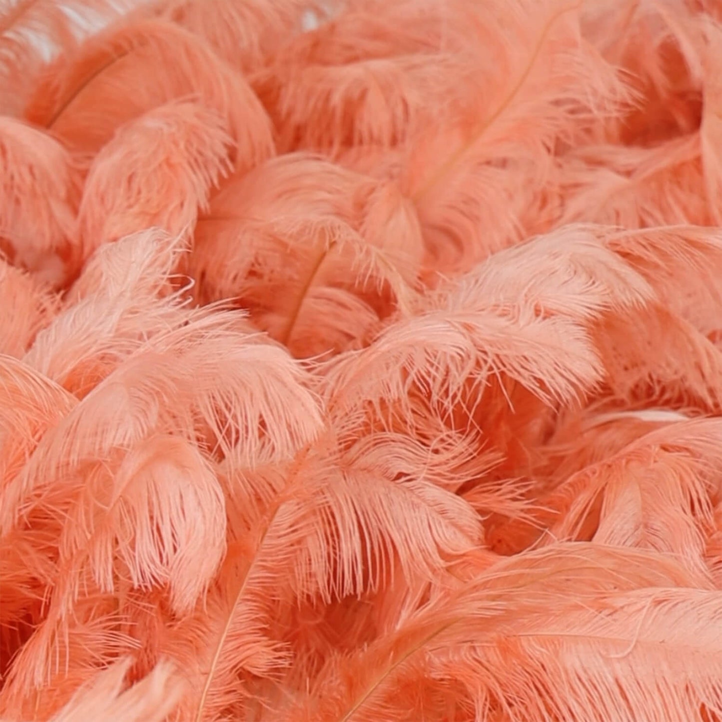 Boho Pink Orange Feather Flower Wall for Party Backdrop-ubackdrop