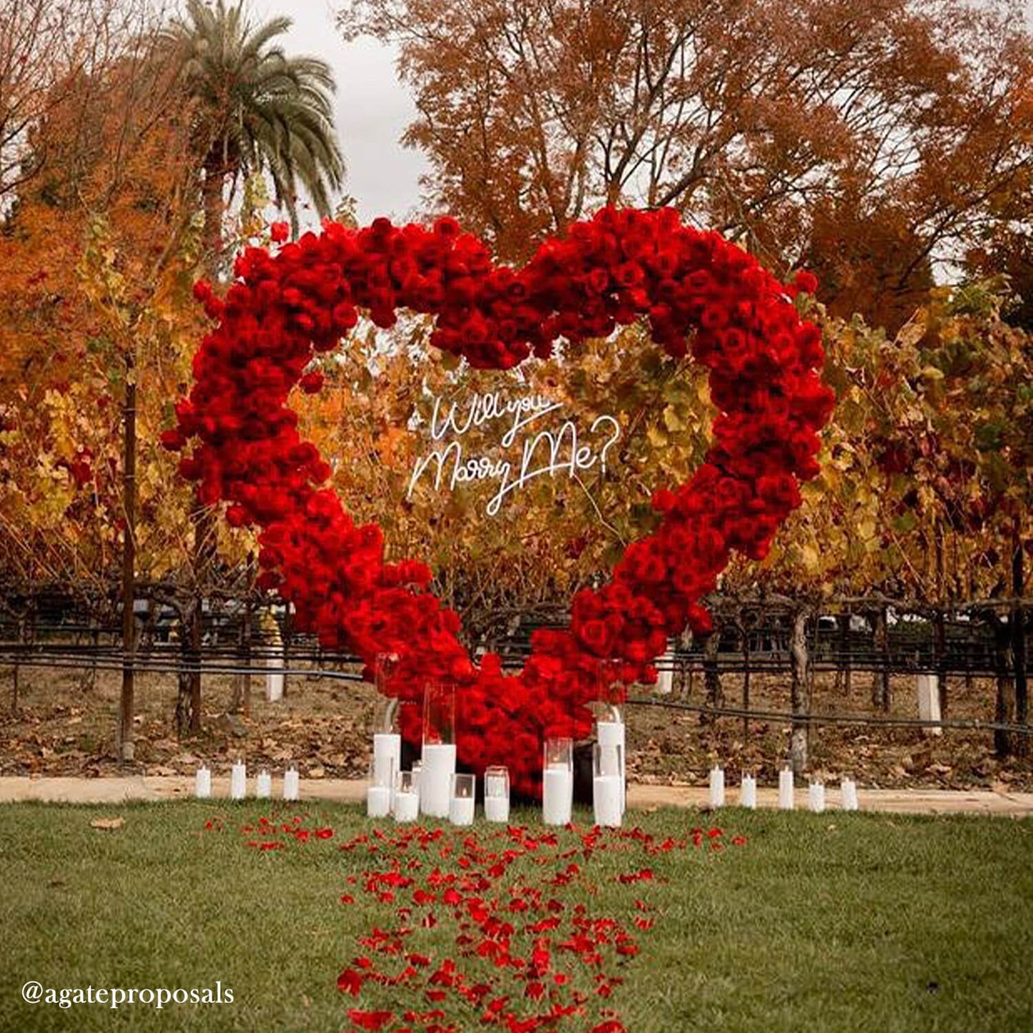 8ft Romantic Atmosphere Heart Shaped Red Rose Flower Wall Wedding Decoration Indoor-ubackdrop